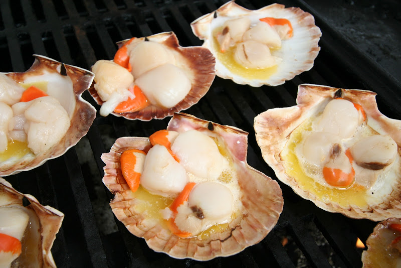 懷蒂昂格扇貝節 Whitianga Scallop Festival