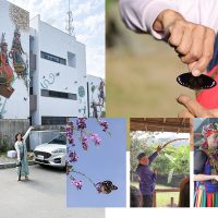 【台灣茂林】紫蝶幽谷：展翅越冬的度寒之處