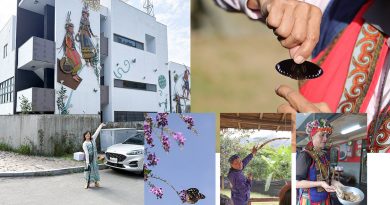 【台灣茂林】紫蝶幽谷：展翅越冬的度寒之處