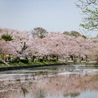 鶴岡公園