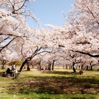 嵐山公園