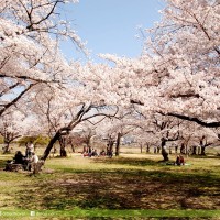 嵐山公園