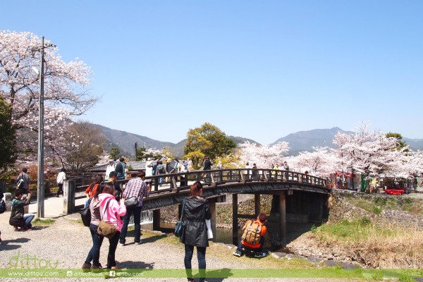 渡月橋