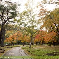 北海道圓山公園