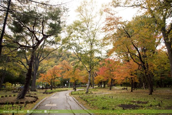 北海道圓山公園