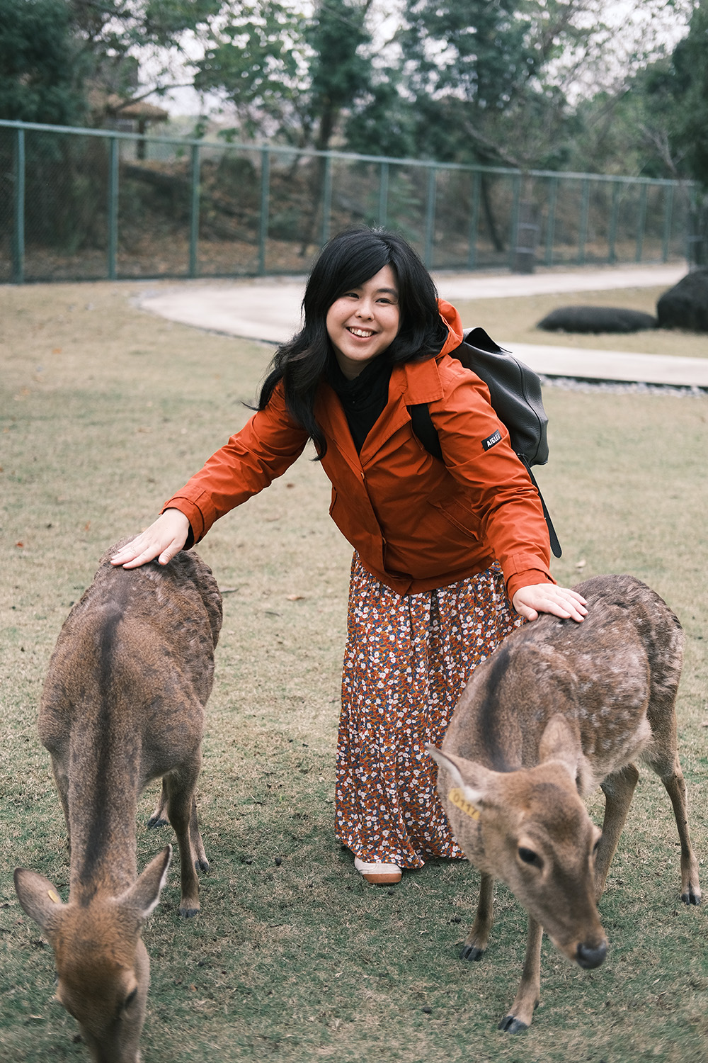 親近動物與原住民手作體驗:逐鹿傳說梅花鹿園
