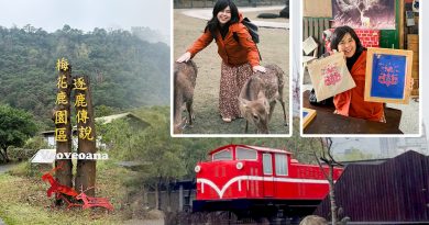 親近動物與原住民手作體驗：逐鹿傳說梅花鹿園