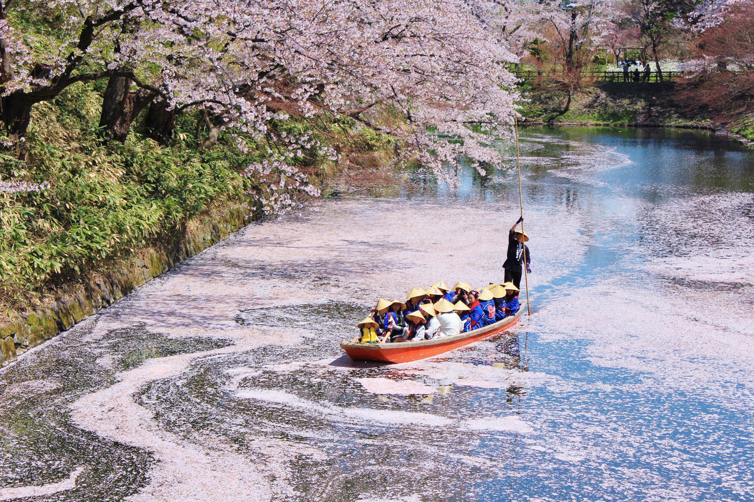 弘前城公園桜まつり: 弘前公園 桜 開花状況 – LQDG
