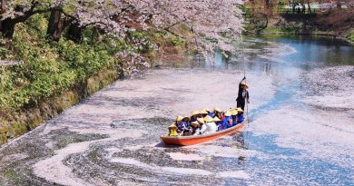 【2023櫻花季】春櫻飄散弘前城 青森賞櫻絕景與櫻花祭舉行日子！