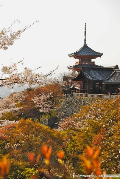 清水寺