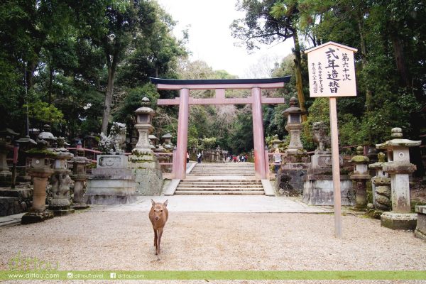 春日大社