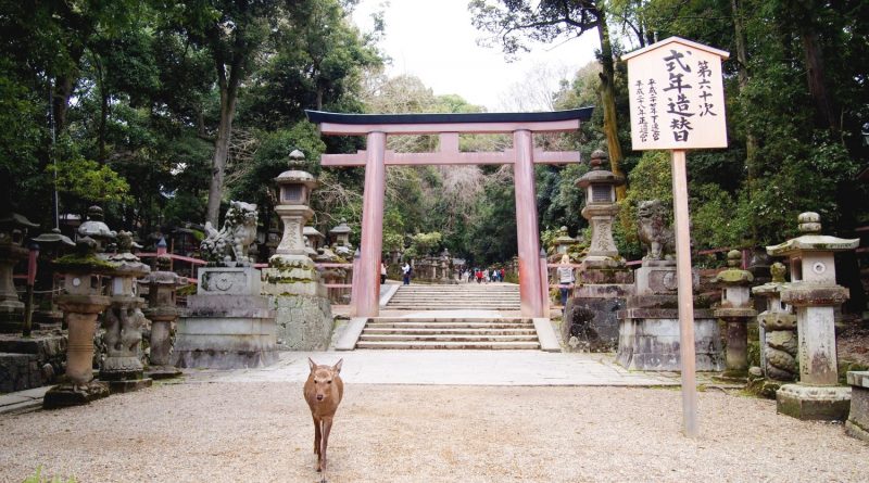 春日 神社 開運