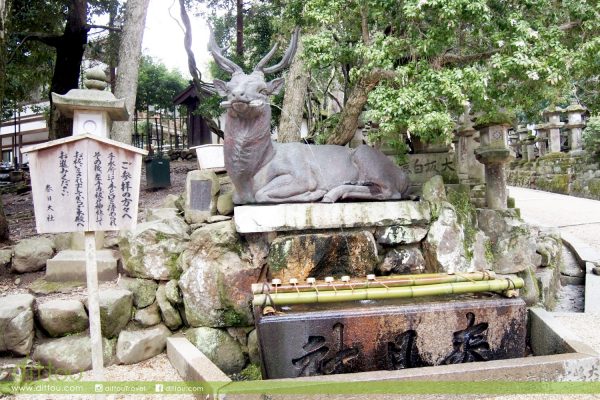 春日大社