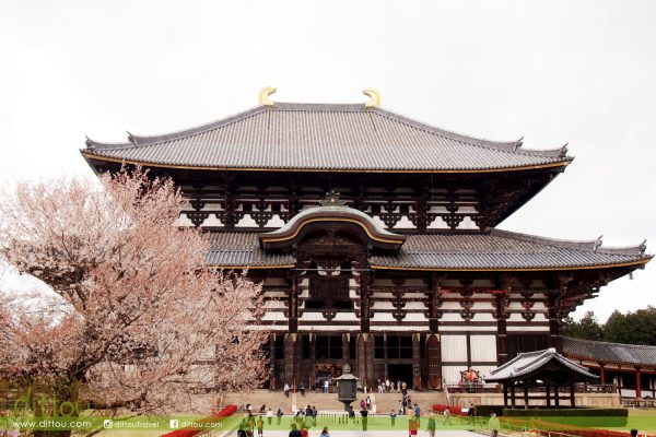 東大寺金堂 大佛殿