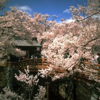 高遠城址公園　©Nagano Prefecture/©JNTO