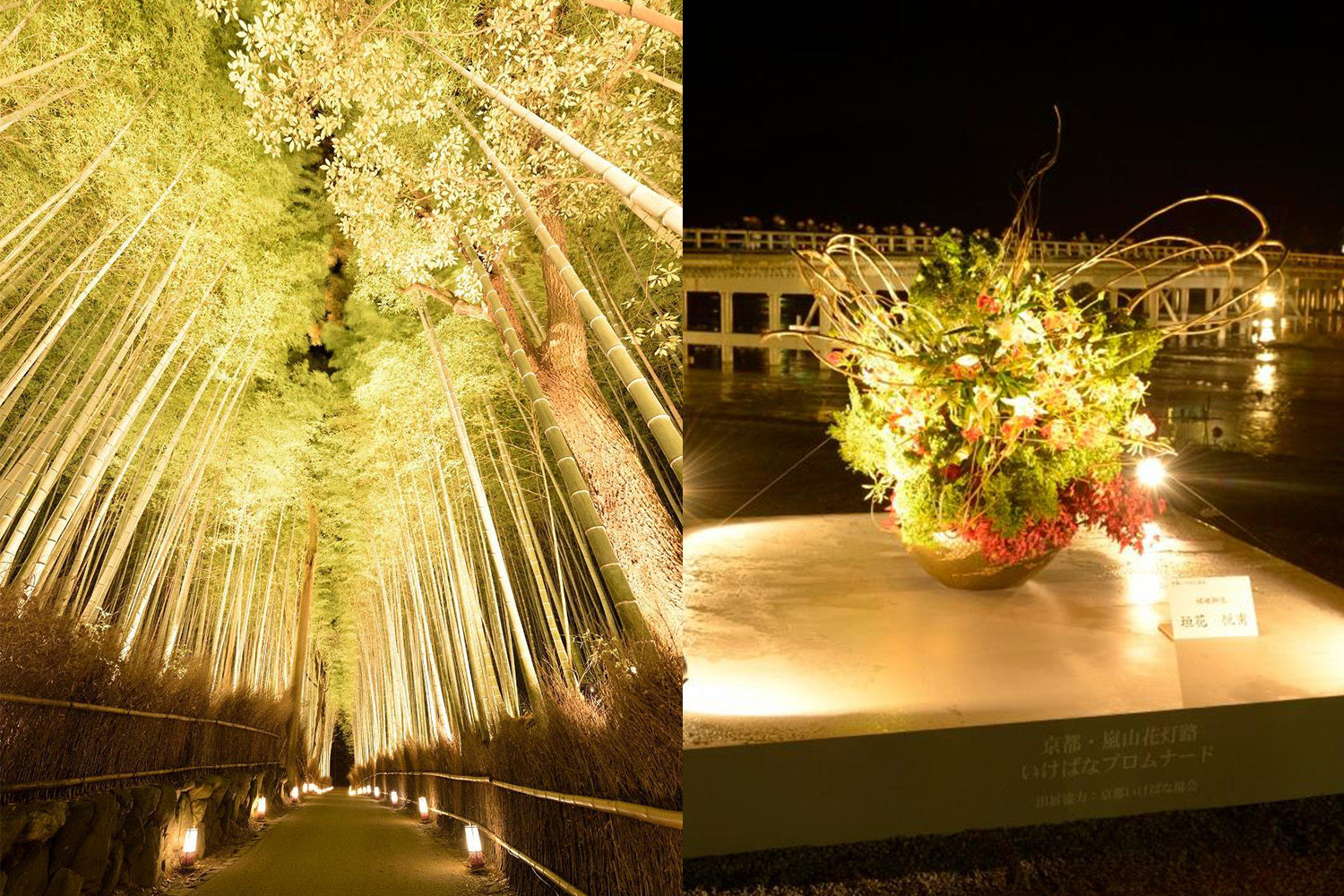 京都嵐山花燈路17 Dittou