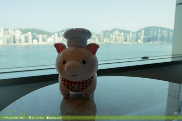 【旅居香港】#18 海景嘉福洲際酒店 InterContinental Grand Stanford Hong Kong