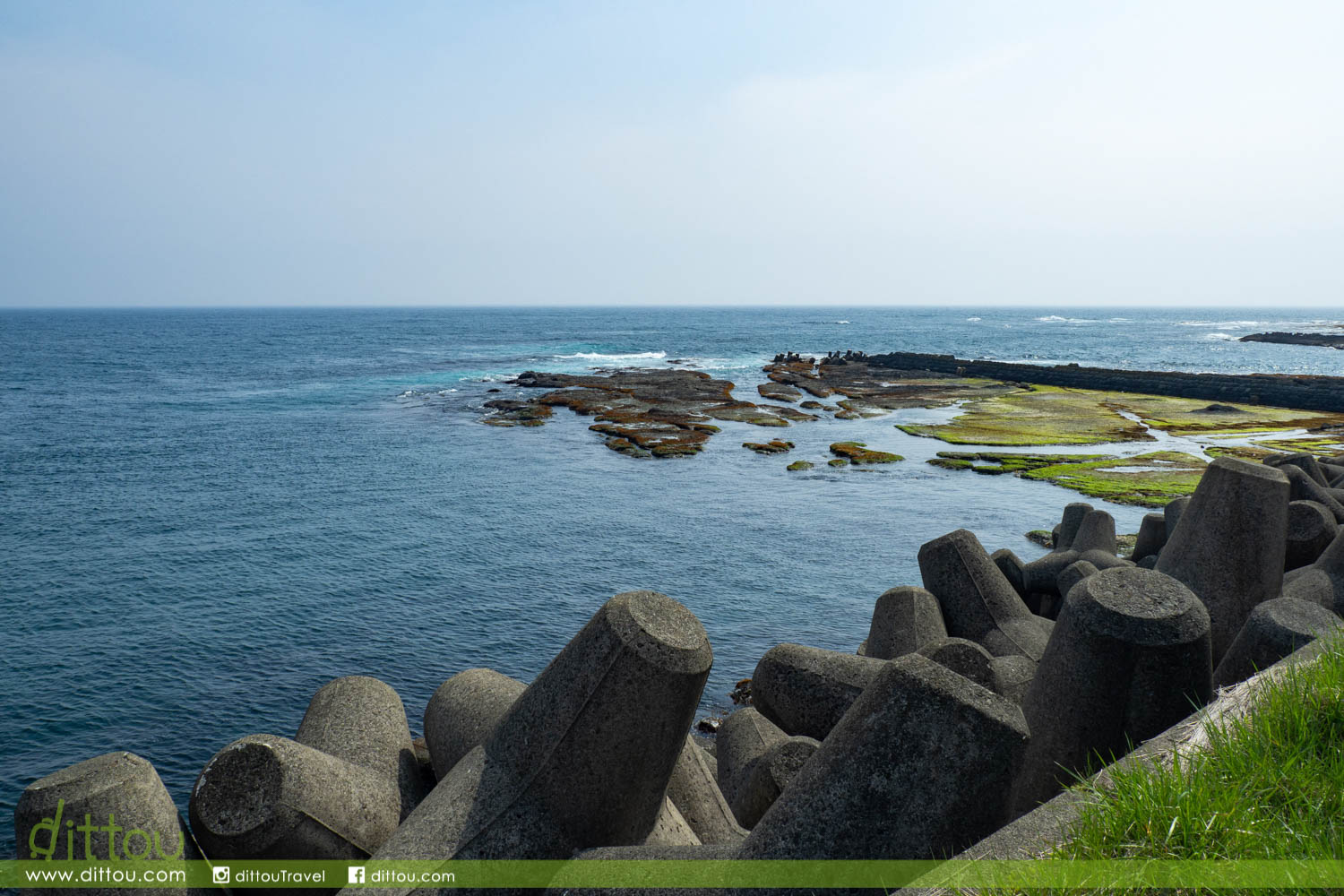 北海道最南端 松前城 城堡 海濱 神社伴襯萬棵櫻樹的魅力 Dittou