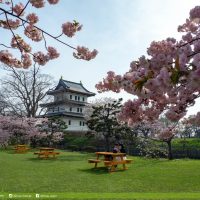 松前城, 松前公園