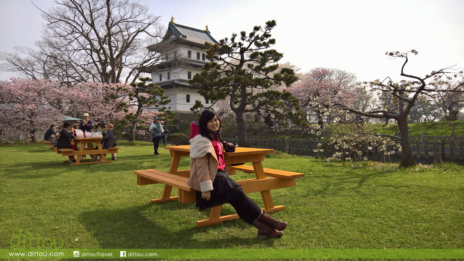 北海道最南端 松前城 城堡 海濱 神社伴襯萬棵櫻樹的魅力 Dittou