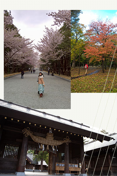呼吸北海道的大自然氣息！圓山公園、北海道神宫的秋色與春櫻