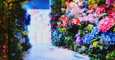 Fans必去！蜷川實花x香格里拉，Butterflies Season沉浸式藝術展