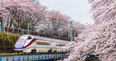 沿著新幹線尋找櫻盛放絕景！嚴選六個東日本賞櫻地