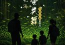 大阿里山區螢火蟲季：光華地區「夢幻螢光海~與螢共舞」