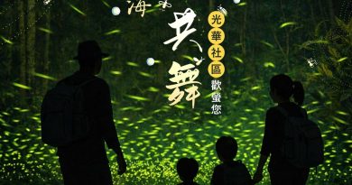 大阿里山區螢火蟲季：光華地區「夢幻螢光海~與螢共舞」
