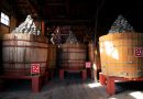 發酵美食見學之旅：從八丁味噌烏冬到赤醋壽司，深度體驗名古屋的飲食文化吧！