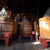 發酵美食見學之旅：從八丁味噌烏冬到赤醋壽司，深度體驗名古屋的飲食文化吧！