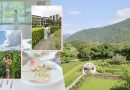 【台灣花蓮】赤腳踏進香草花園 秧悦美地度假酒店療癒養生之旅