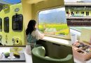 【台東池上→花蓮】山嵐號：花東縱谷觀光列車 邂逅台灣山巒絕景