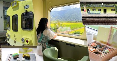 【台東池上→花蓮】山嵐號：花東縱谷觀光列車 邂逅台灣山巒絕景