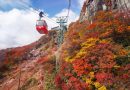 賞紅葉絕景、體驗當地獨有傳統工藝：日本中部秋日之旅