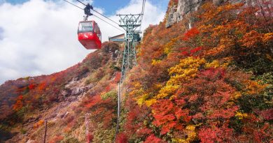 賞紅葉絕景、體驗當地獨有傳統工藝：日本中部秋日之旅