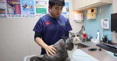 專業全科家庭獸醫 Dr. Martin 正式加盟：VEC 香港獸醫急症中心升級「全科家庭獸醫」護理體驗