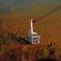 蘋果收成季搭配紅葉行程！泡蘋果溫泉、品秋日美食 青森寫意之旅