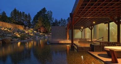 秋日紅葉溫泉：「日本酒店11大之最」住宿精選