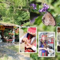 【台灣茂林】紫蝶幽谷：展翅越冬的度寒之處