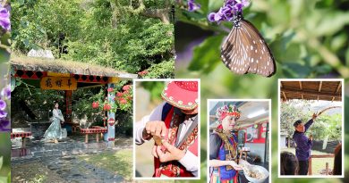 【台灣茂林】紫蝶幽谷：展翅越冬的度寒之處