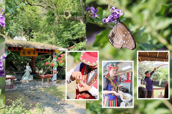 【台灣茂林】紫蝶幽谷：展翅越冬的度寒之處