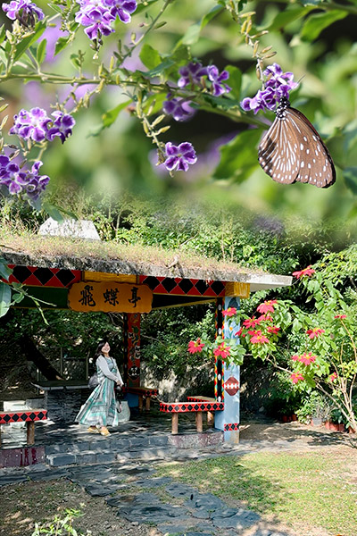 【台灣茂林】紫蝶幽谷：展翅越冬的度寒之處