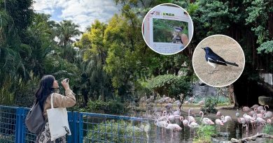 都市綠洲晨間漫步：The Mira Hong Kong觀鳥導賞連Yamm自助早餐