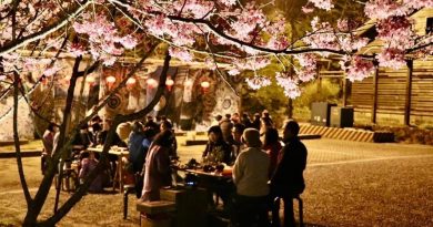 阿里山櫻花季：2026年「春櫻夜~櫻途山行」