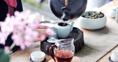 【茶佐餐。茶席體驗】林園製茶：雲海間療癒身心的櫻季茶園之旅